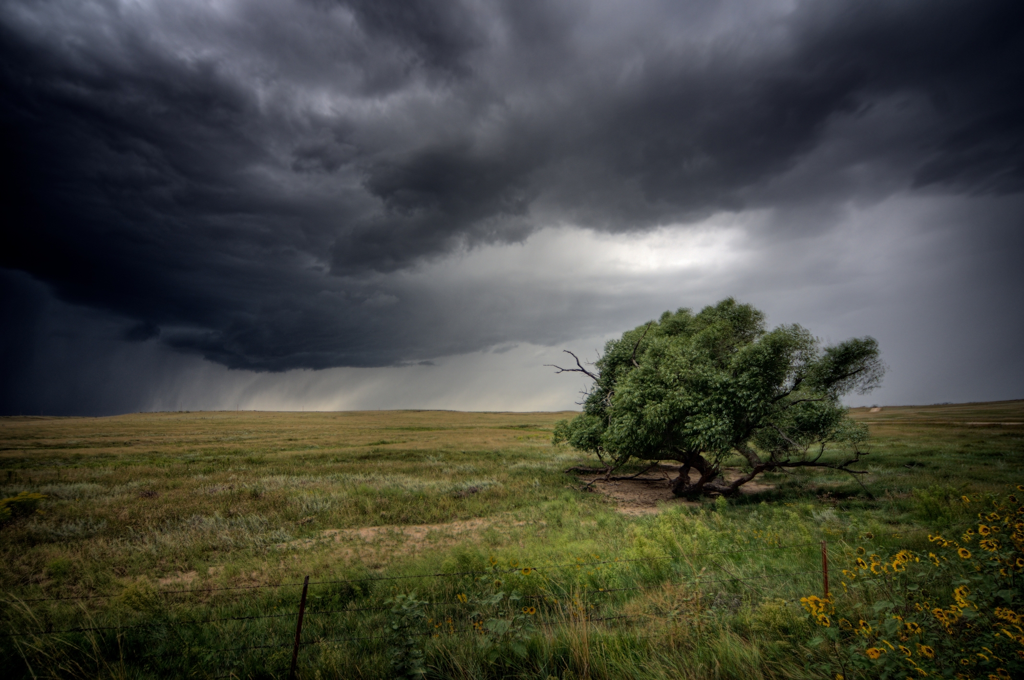 self-care-as-you-brave-the-storm